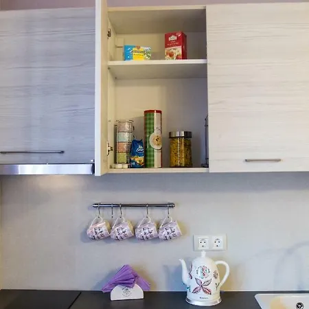 Violet Life Apartment *
