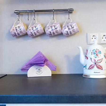 Apartment Violet Life *